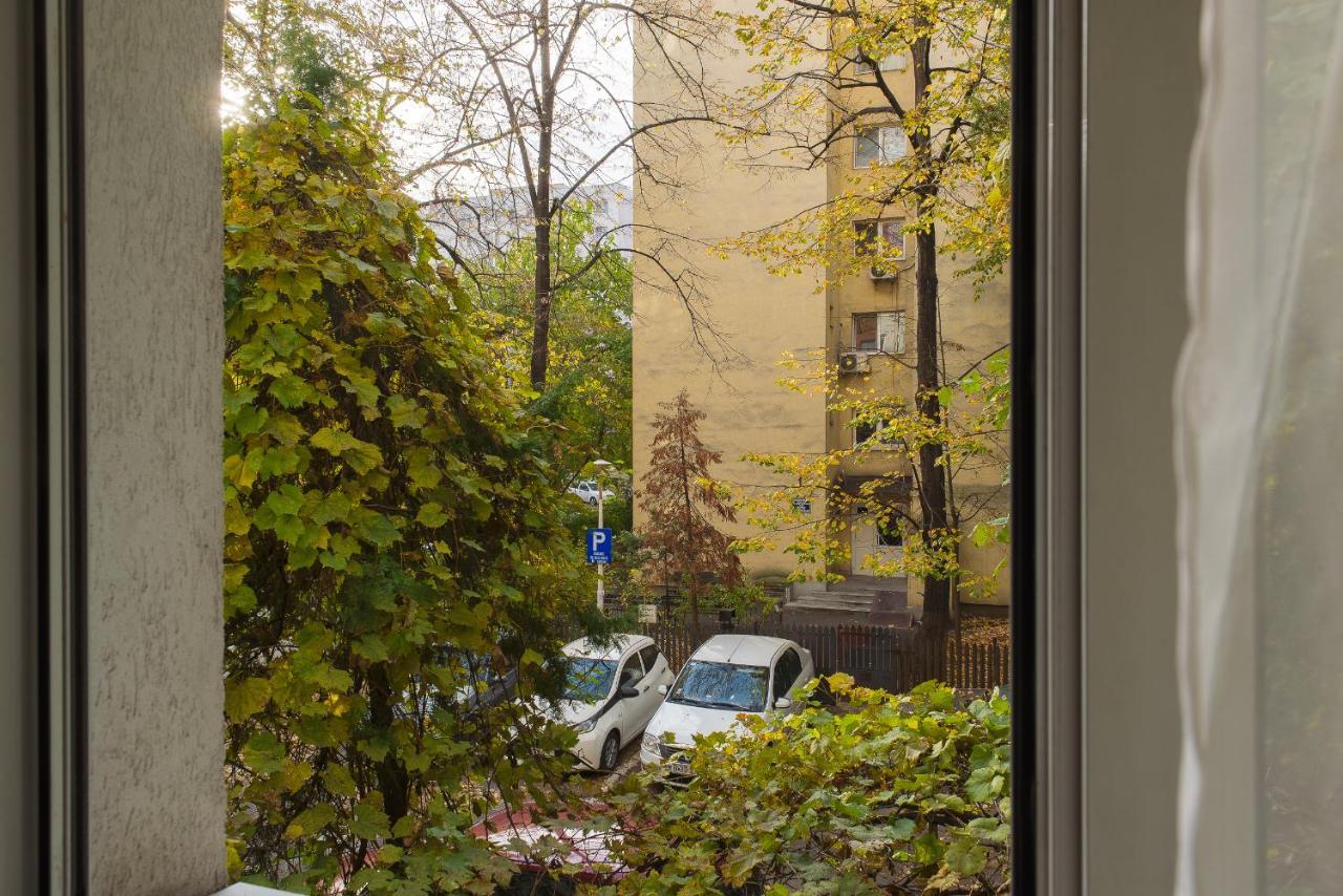 Apartament, Ultracentral, Piata Victoriei Букурещ Екстериор снимка